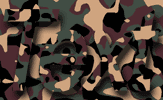 Camouflaged text