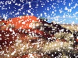 Snow in the desert